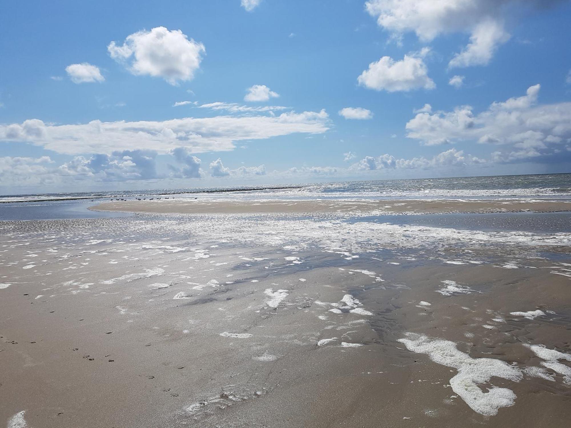 Romantisch Huisje Nabij Het Strand Met Uitzicht Op De Tulpenvelden Julianadorp Exterior foto
