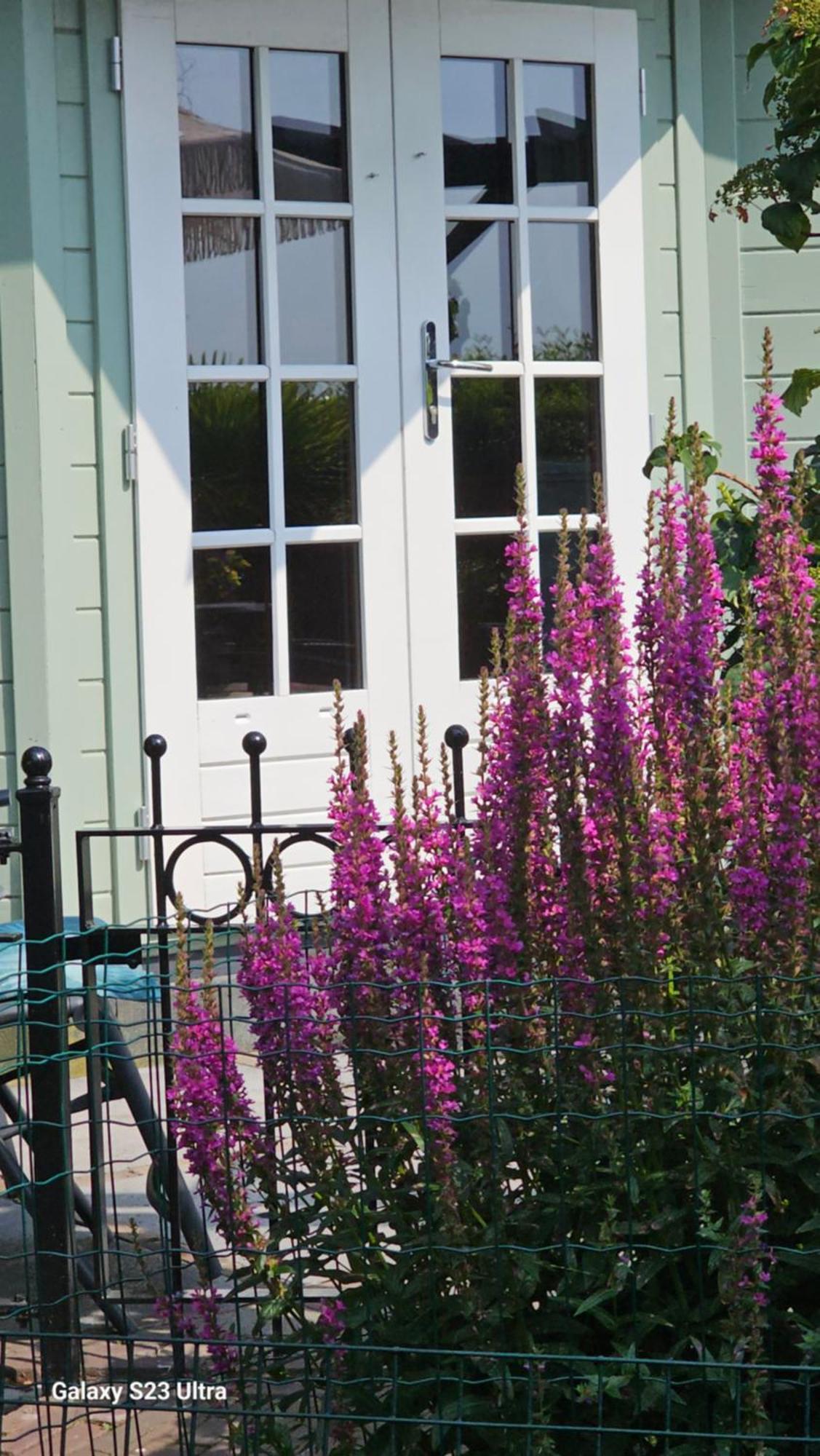 Romantisch Huisje Nabij Het Strand Met Uitzicht Op De Tulpenvelden Julianadorp Exterior foto