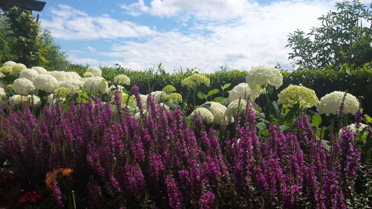 Romantisch Huisje Nabij Het Strand Met Uitzicht Op De Tulpenvelden Julianadorp Exterior foto